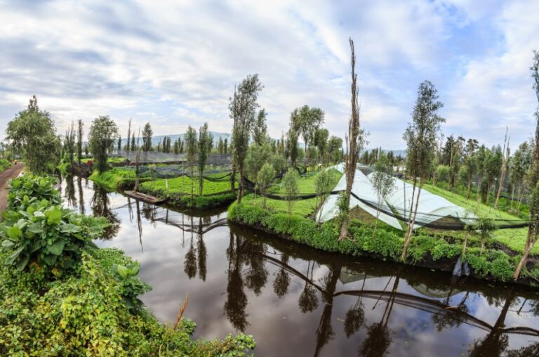 Chinampas Un Sistema Agr Cola Nico En El Mundo