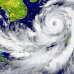 Chocolateros van al rescate del cacao mexicano