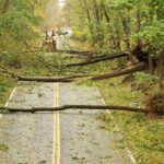 Millennials, la generación que necesita de sus padres para enriquecerse