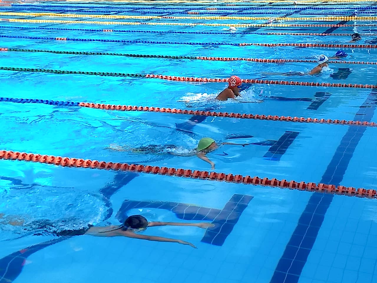 Primer circuito de natación virtual