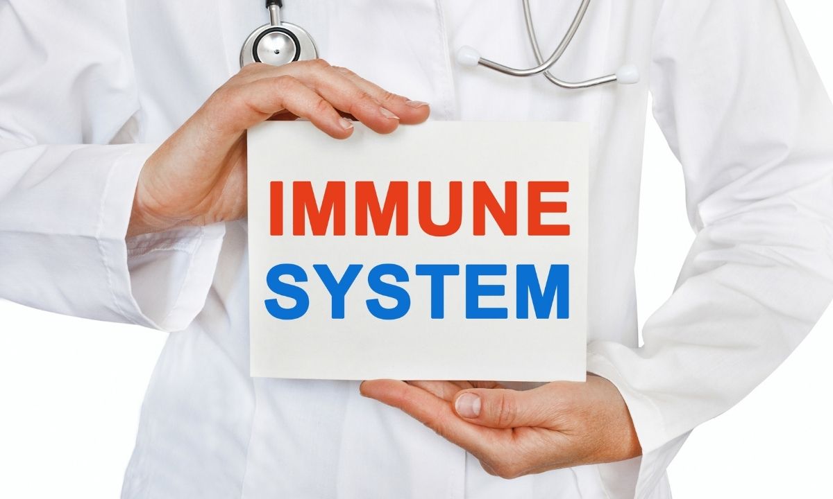 Sistema inmunitario