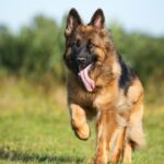 Brindar herramientas a bomberos, la mejor forma de dignificar su trabajo