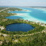 Cozumel usa tecnología para que la comunidad conozca las aves de la isla