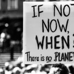 ¡Cuidado! Dan gato por liebre en algunas especies de pescado.