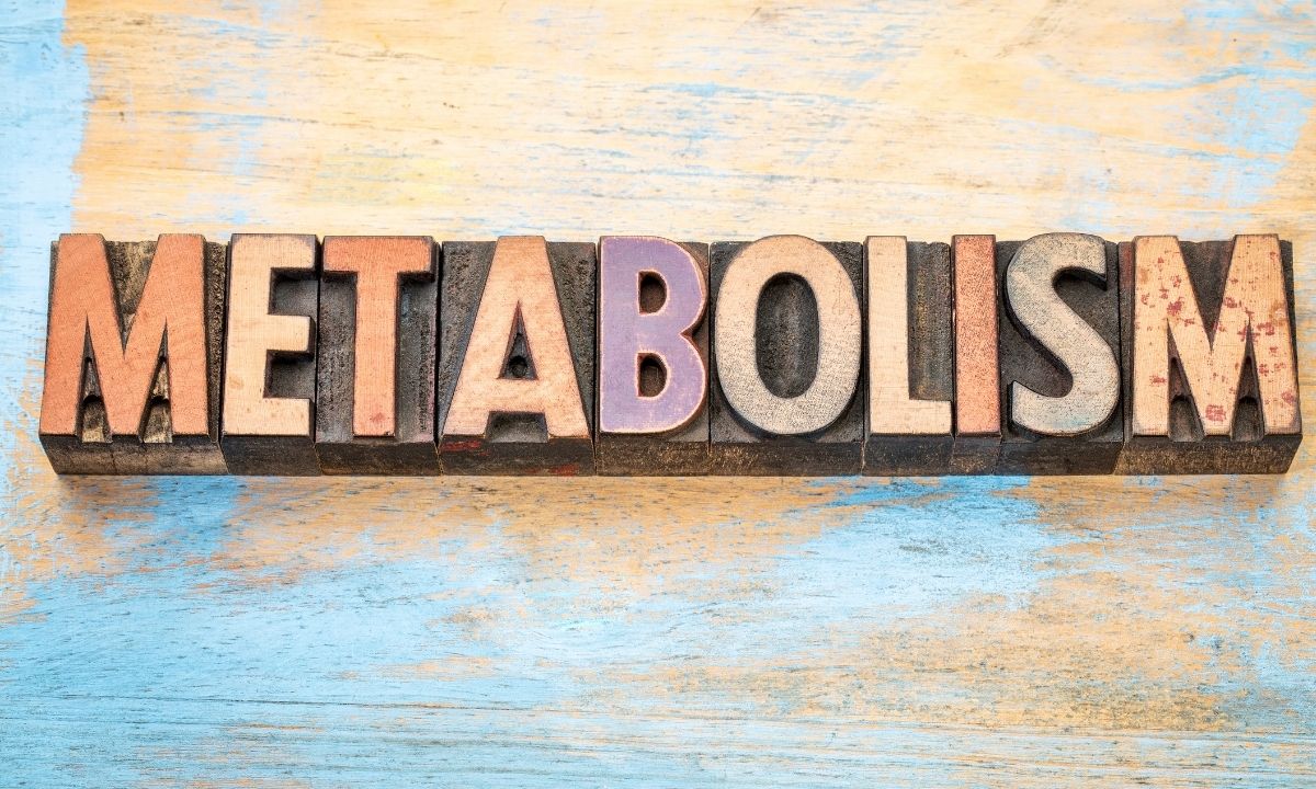De qué depende que tu metabolismo sea lento o rápido y cómo puedes acelerarlo
