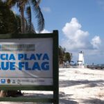 Reseña de Tora Cancun: logró lo prometido