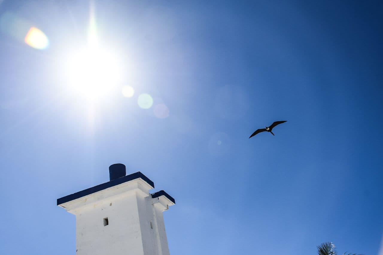 ola de calor