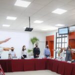 Registra Puerto Morelos casi 8 mil crías de tortuga eclosionadas en la actual temporada de anidación