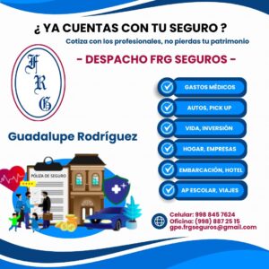 DESPACHO SEGUROS