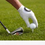 Grupo Piñero cumple 50 años de exitosa historia turística