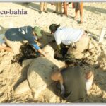 5  tips para fidelizar a tus clientes