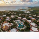 Fundación Eco-Bahia: más de 143 mil crías de tortuga liberadas al mar durante la temporada 2025