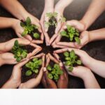 ¿Cómo influyen los movimientos sociales en las políticas?