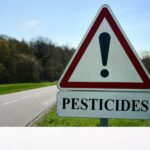 Persona Física: ¿cuándo debes presentar tu declaración anual?